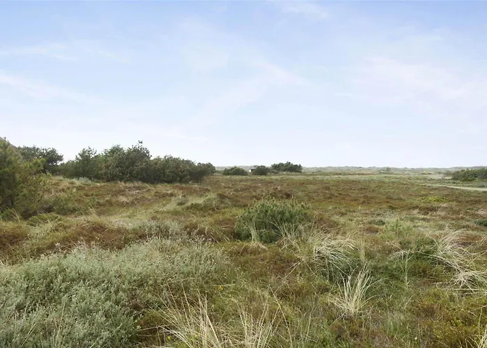 Bv102-blavand-nordslugen-6 *